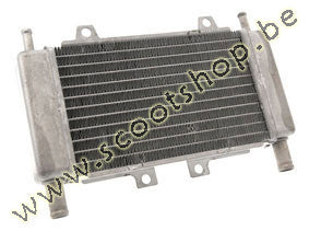 Motorforce Racing radiator - Runner