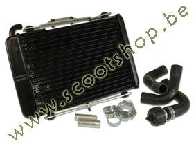 Malossi MHR Radiator - Piaggio Zip SP